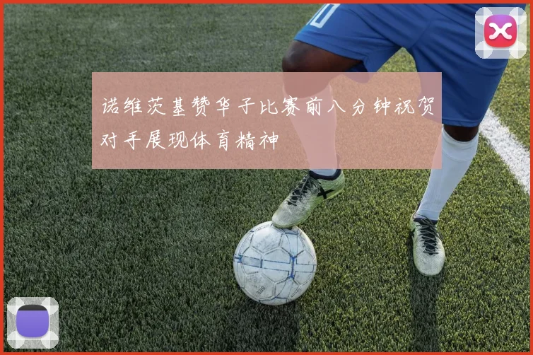 诺维茨基赞华子比赛前八分钟祝贺对手展现体育精神